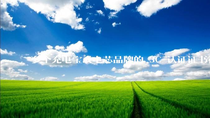 多个充电宝或电芯品牌的 3C 认证证书被暂停，涉及罗马仕、安克、绿联、倍思、安普瑞斯等，发生了什么？