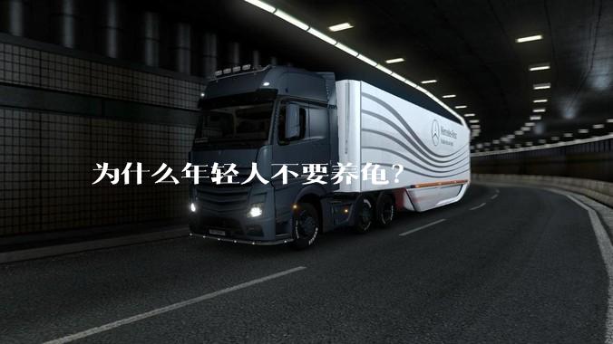 为什么年轻人不要养龟？
