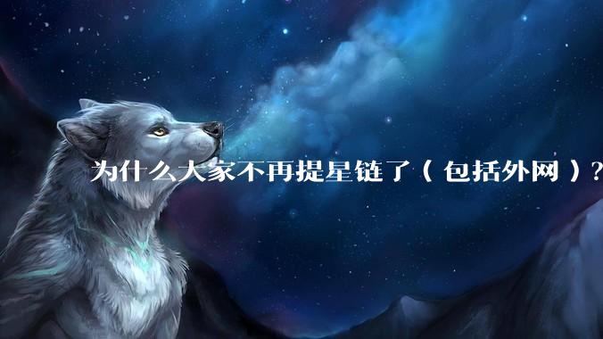 为什么大家不再提星链了（包括外网）？