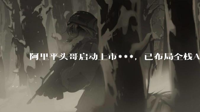 阿里平头哥启动上市***，已布局全栈AI芯片_性能_公司_场景